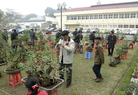 Triển[-]lãm[-]thu[-]hút[-]rất[-]đông[-]các[-]cụ[-]cao[-]tuổi[-]và[-]trung[-]niên.